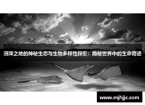 沼泽之地的神秘生态与生物多样性探索：隐秘世界中的生命奇迹